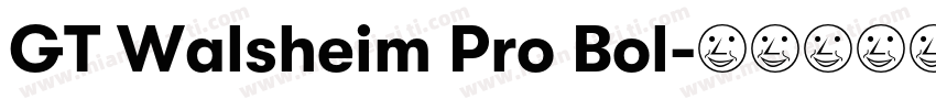 GT Walsheim Pro Bol字体转换
